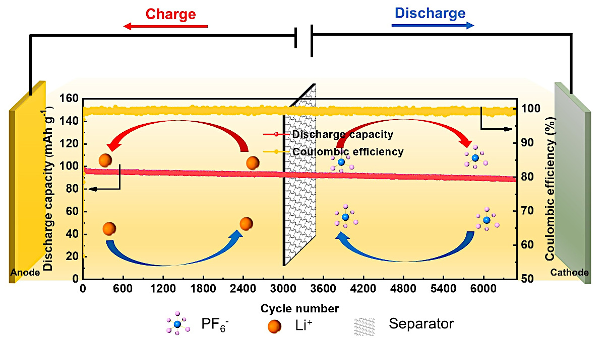 new dual-ion battery