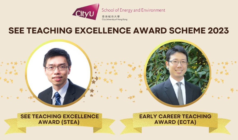 SEE Teaching Excellence Award (STA)