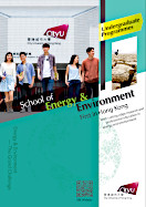 SEE Undergraduate Programme