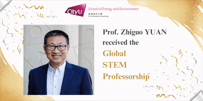 Global STEM Professorship