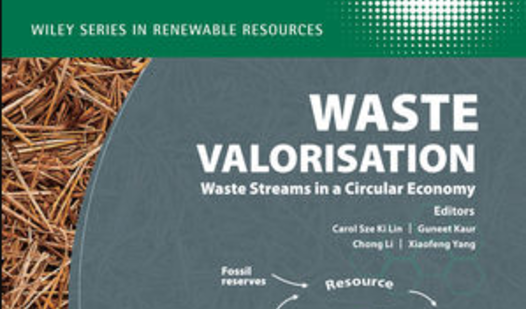 waste valorisation.png 