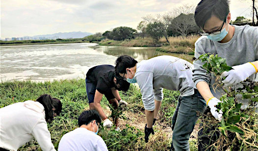 SEE WWF-HK Citizen Scientists