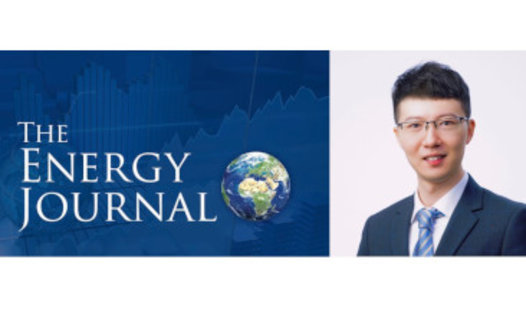 The Energy Journal Lin Zhang