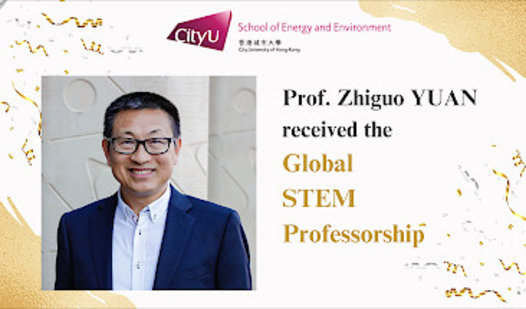 Global STEM Professorship