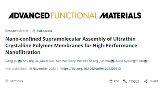 Ultrathin Crystalline Polymer Membranes