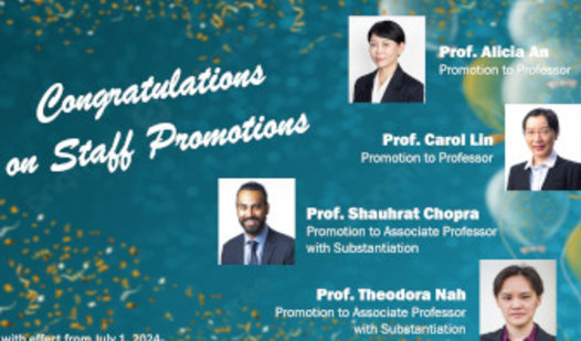 Faculty Achievements with Promotions