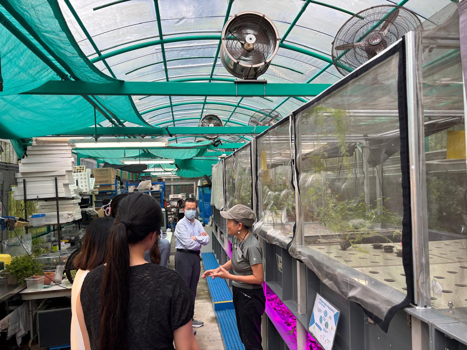 The students were visiting the herbal garden.