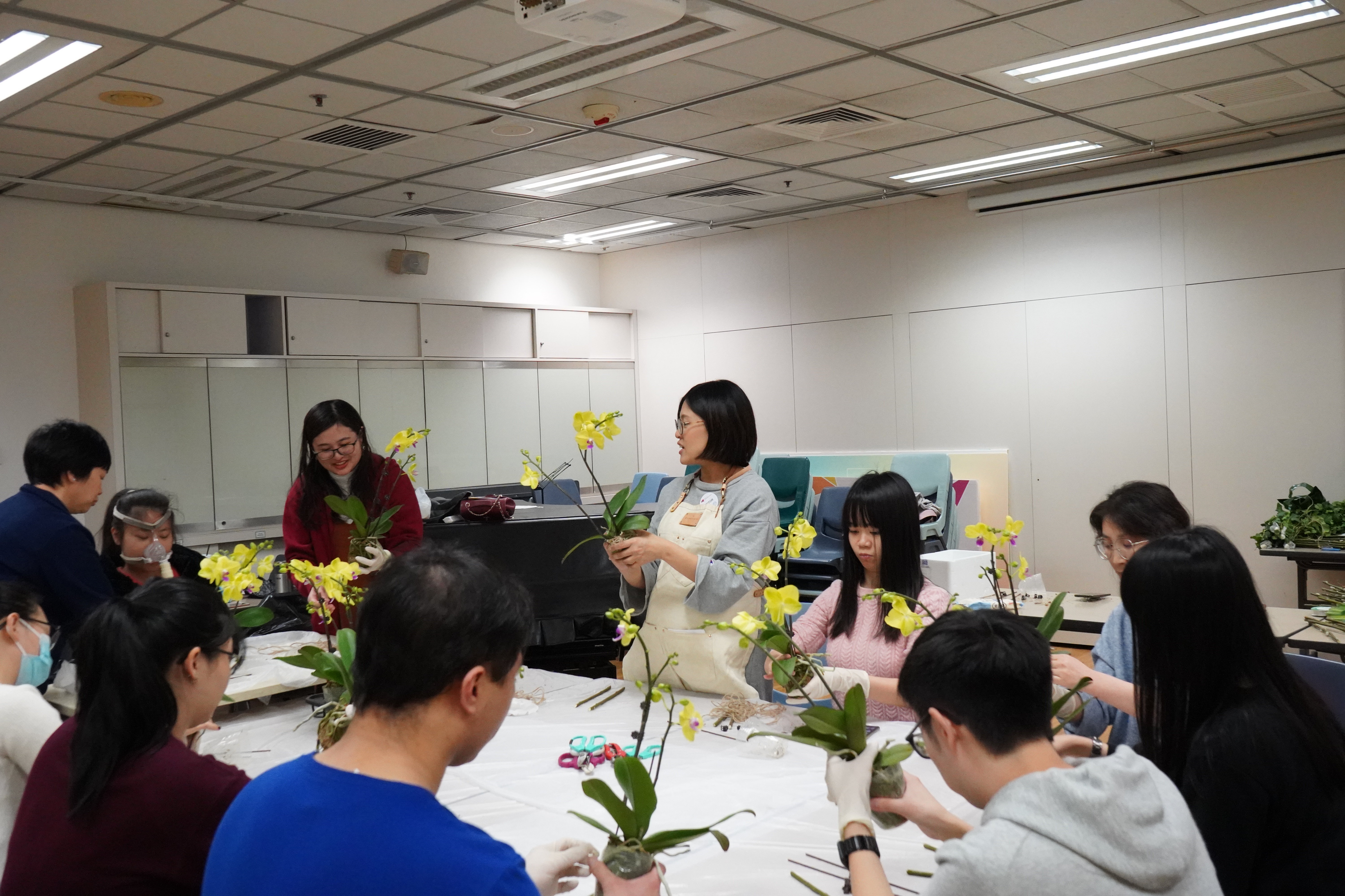 創造屬於自己的蘭花擺設工作坊