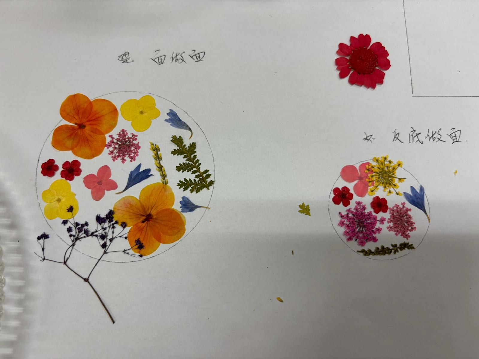 押花杯碟工作坊 (供城市大學職員參加)