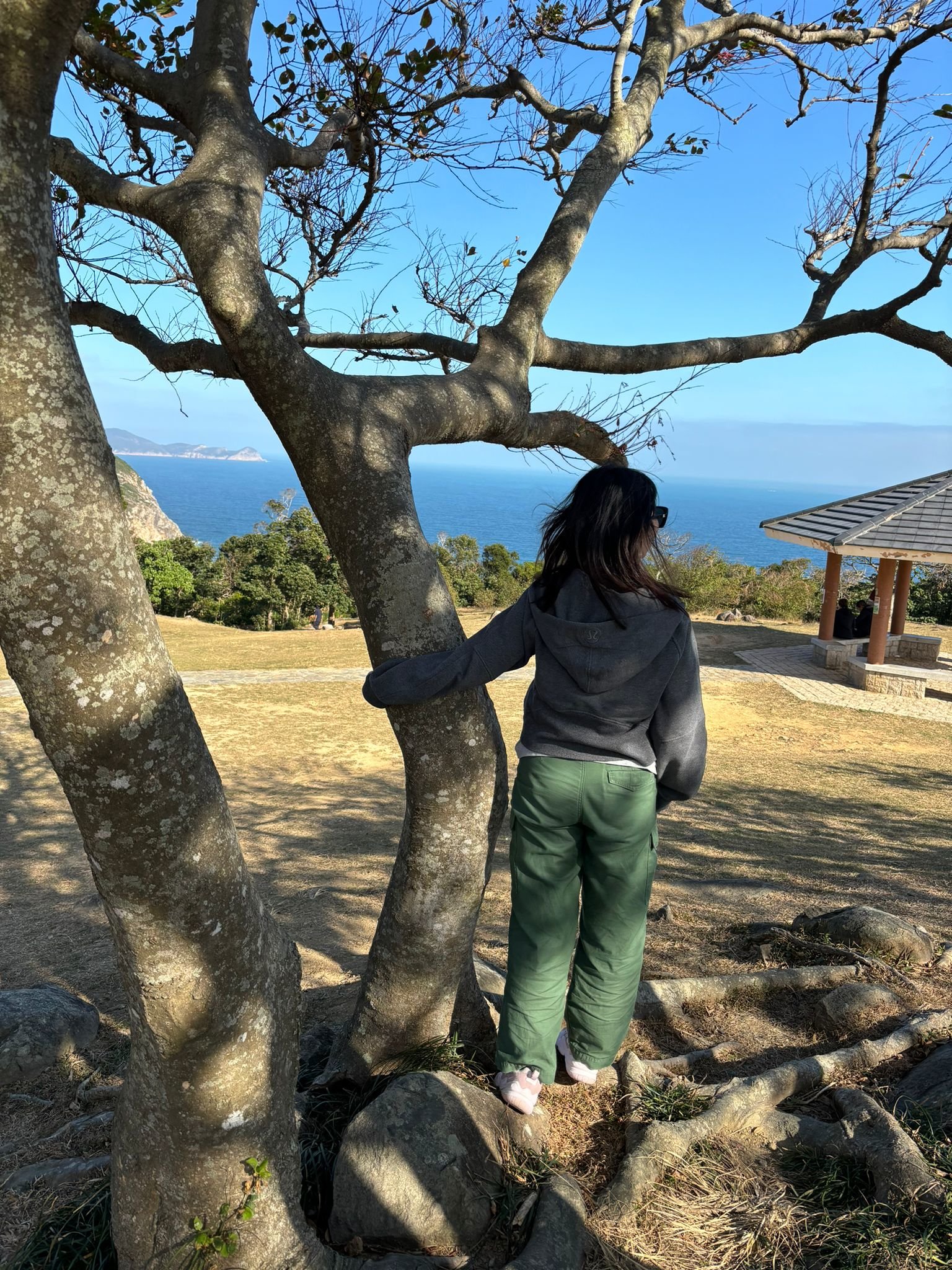 森林浴療癒