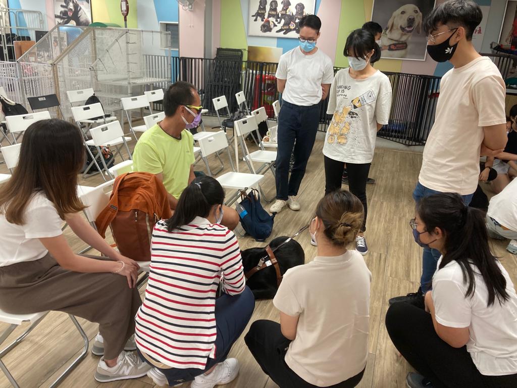 认识导盲犬工作坊