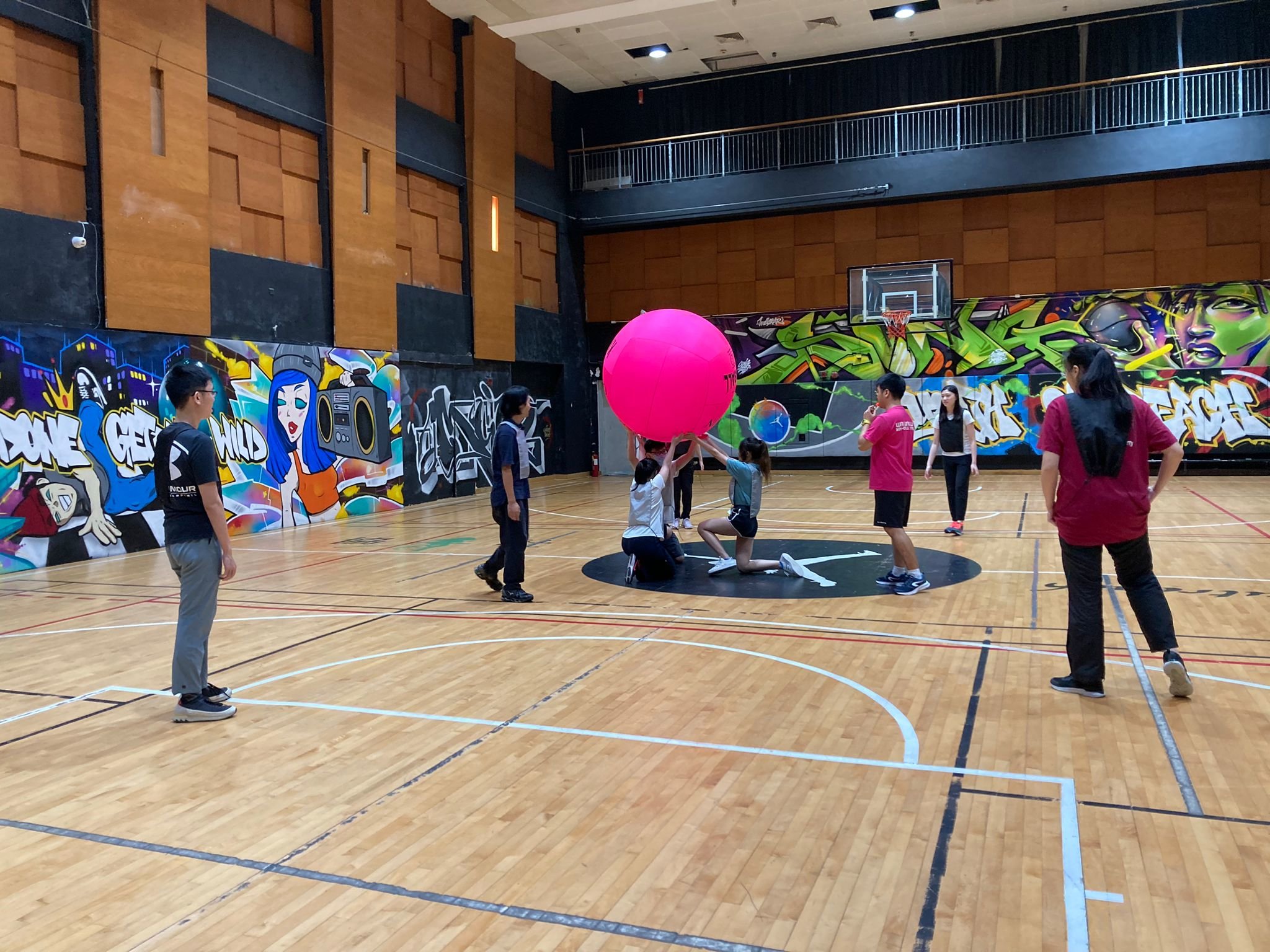 Kin-Ball Experience Workshop