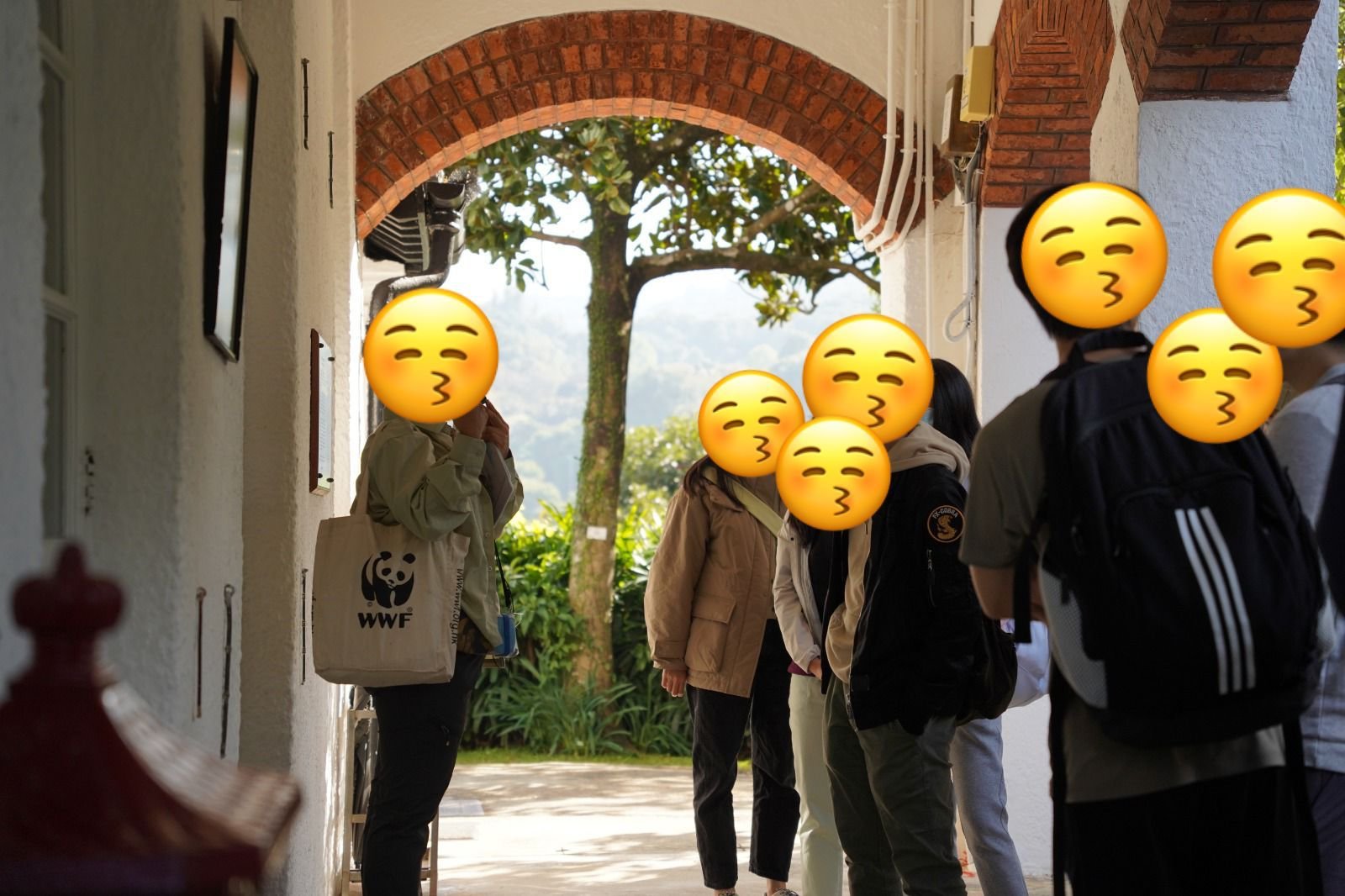 WhatsApp Image 2025-03-20 at 162839