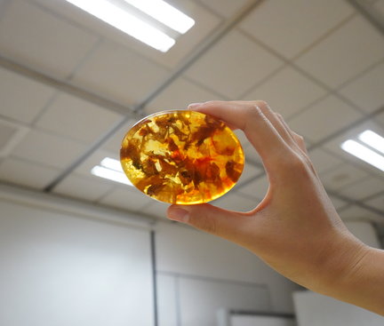 A student placed his/her crystal soup product under the light to appreciate the beauty of it. 學生把他/她親手造的水晶皂放在燈光下, 欣賞它的美麗