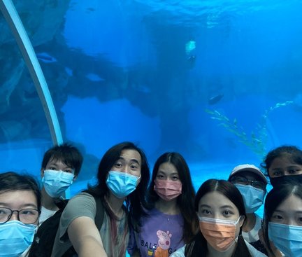 At the Aquarium 同學們正在遊覽水族館