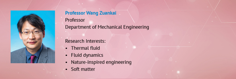 Dr Wang's Bio