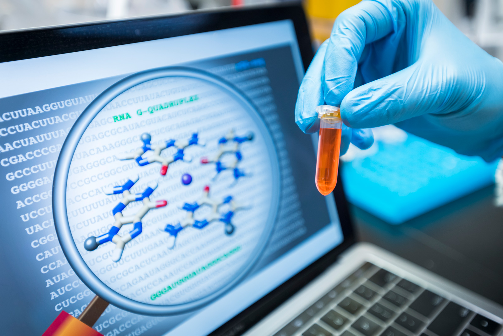 Dr Kwok studies RNA and G-quadruplex and their relevance to gene regulation and disease development.