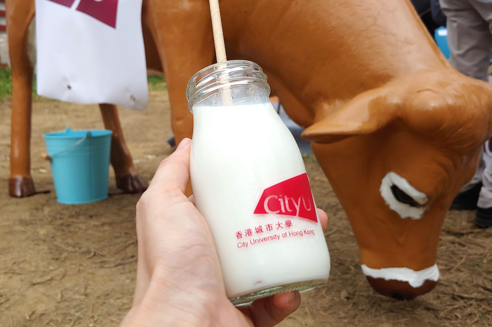 High-quality CityU milk and ice-cream can be expected within next year. 