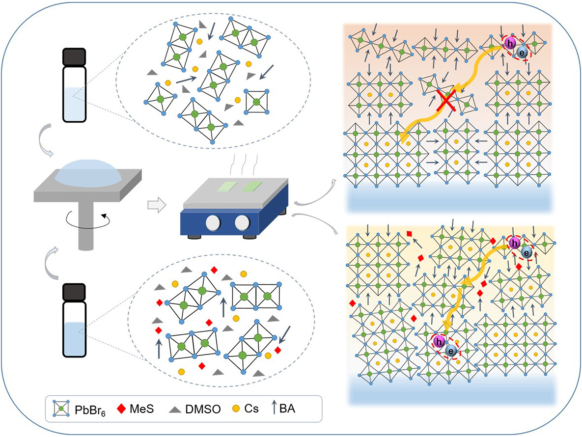 2D perovskite LED