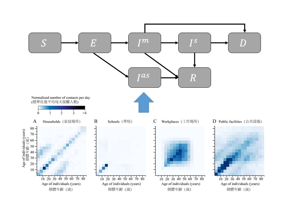 The mathematical model 