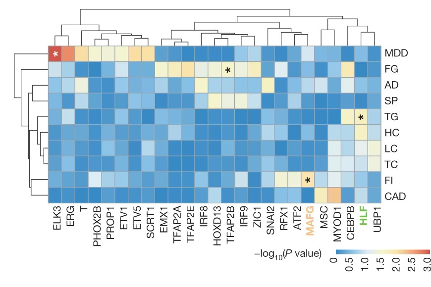 Transcription factors 