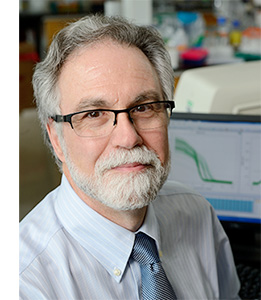Professor Gregg Semenza
