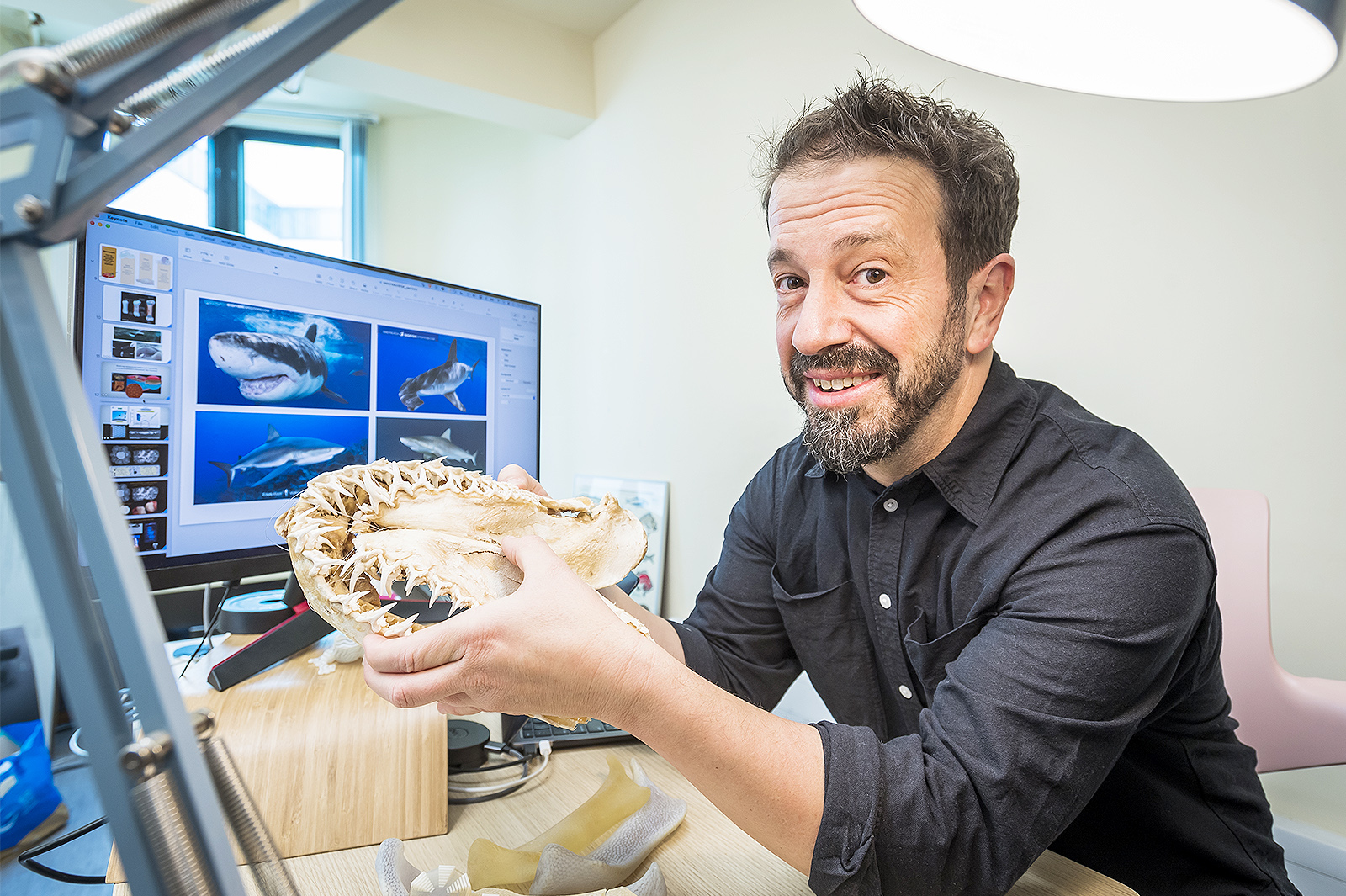 Professor Mason Dean researches how armoured tiling on shark and ray cartilage maintains continuous covering as the animals' skeletons expand during growth.
