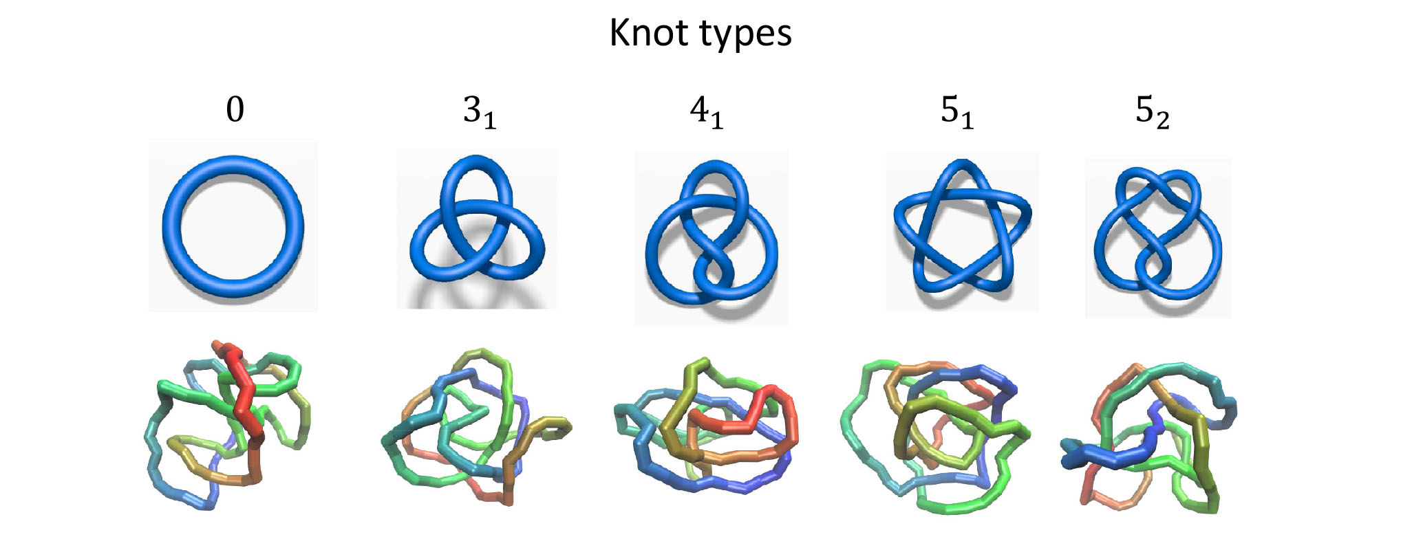 Knot type to be identified