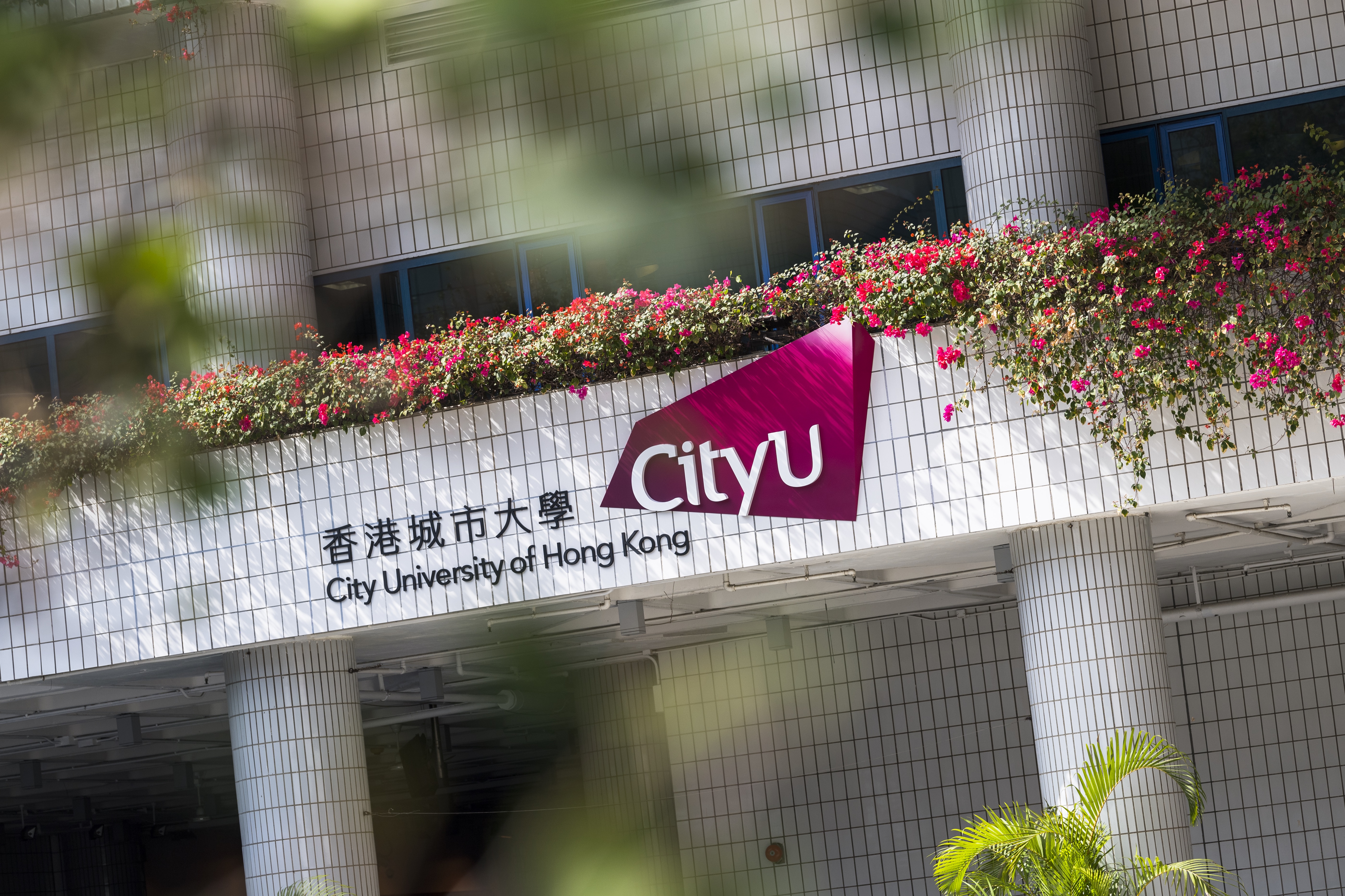 cityu, city university of hong kong 