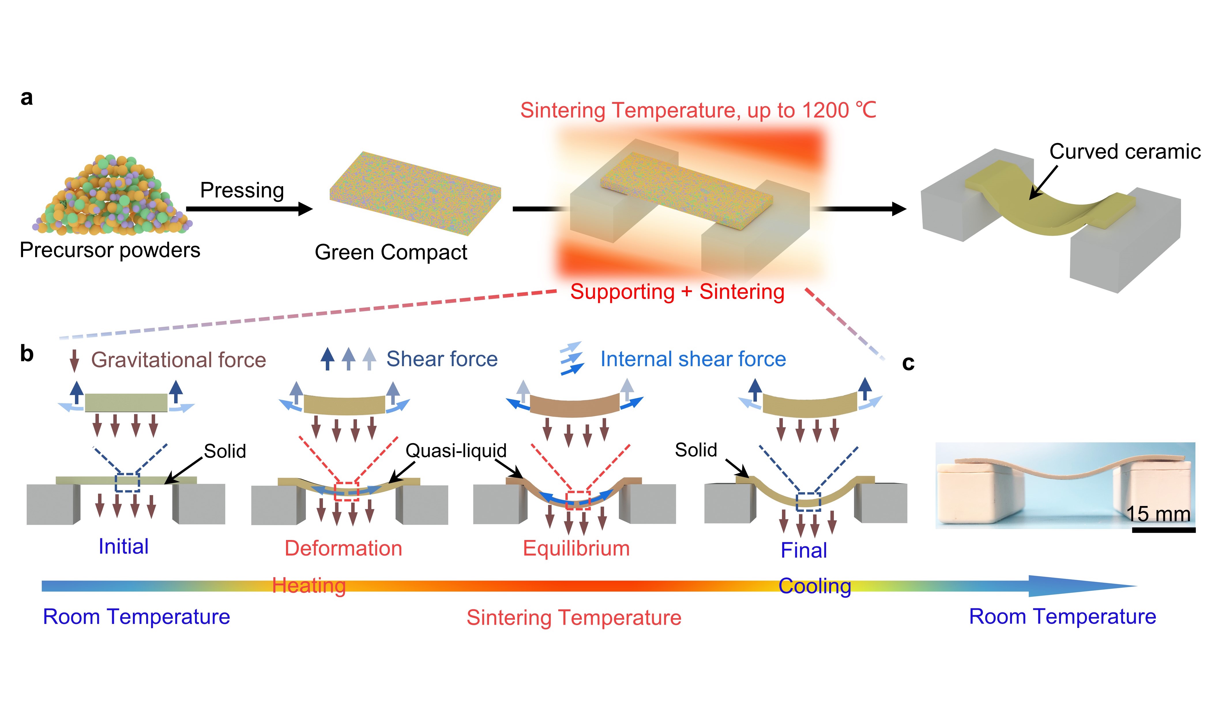 Gravity-driven sintering technique