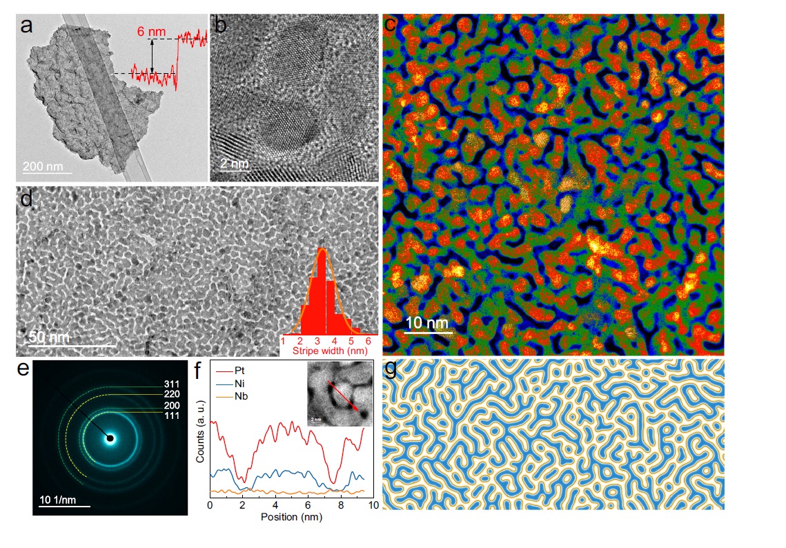 Turing patterns