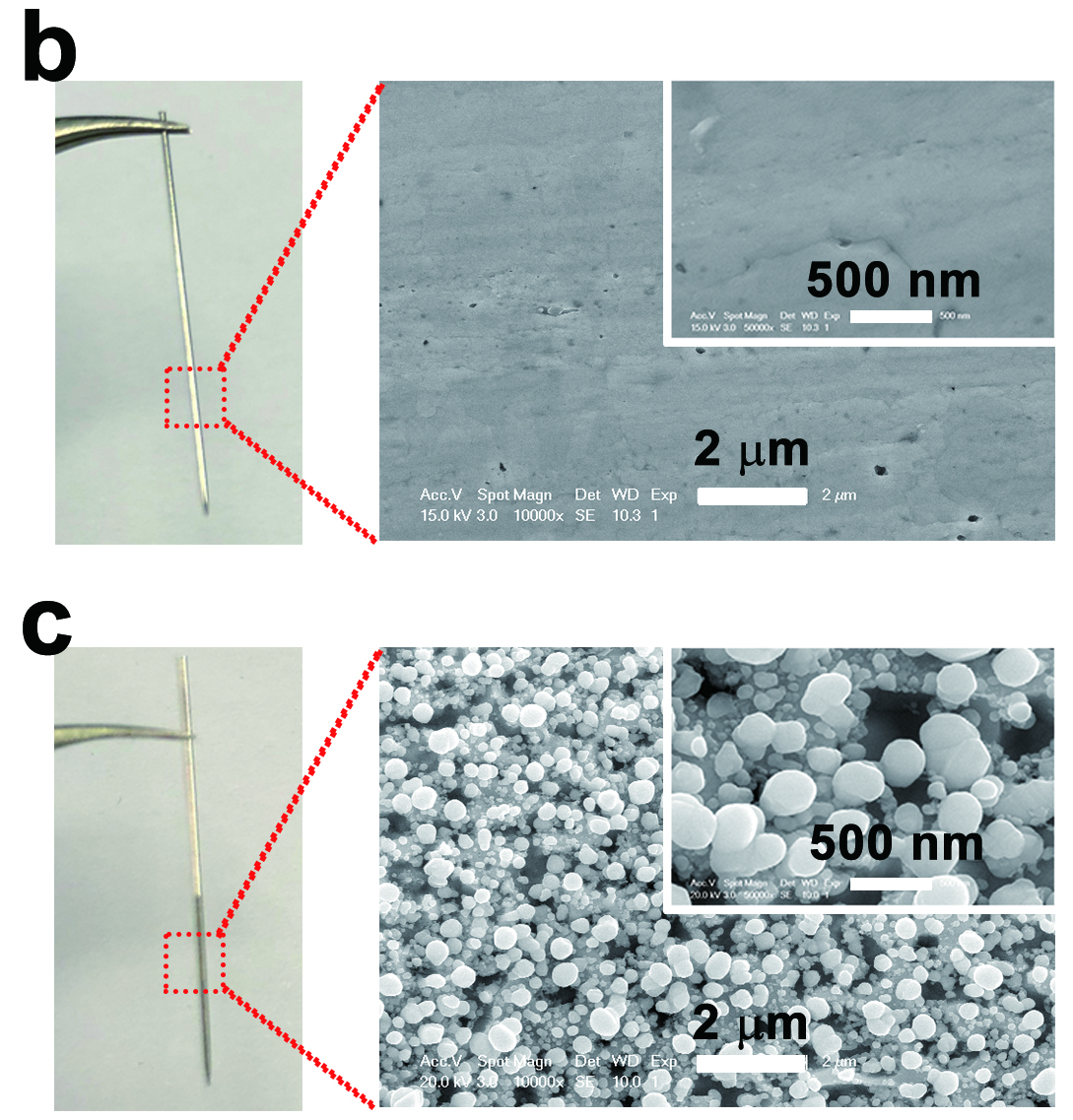 Nanostructured Ag Electrodes