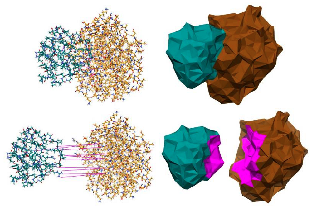 Two molecules