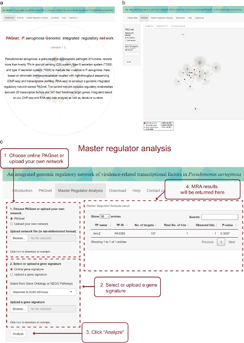Figure 2. Screenshots of PAGnet online platform. (a) and (b) Appearance of the homepage. (b) Online master regulator analysis functionality. A step-by-step guide was shown. First, the user can select the default PAGnet or upload their own regulatory network in a predefined format. Second, the user will specify a gene signature associated with a biological function or pathway of interest, either by selecting a gene set from public databases or uploading a user-customized gene list.