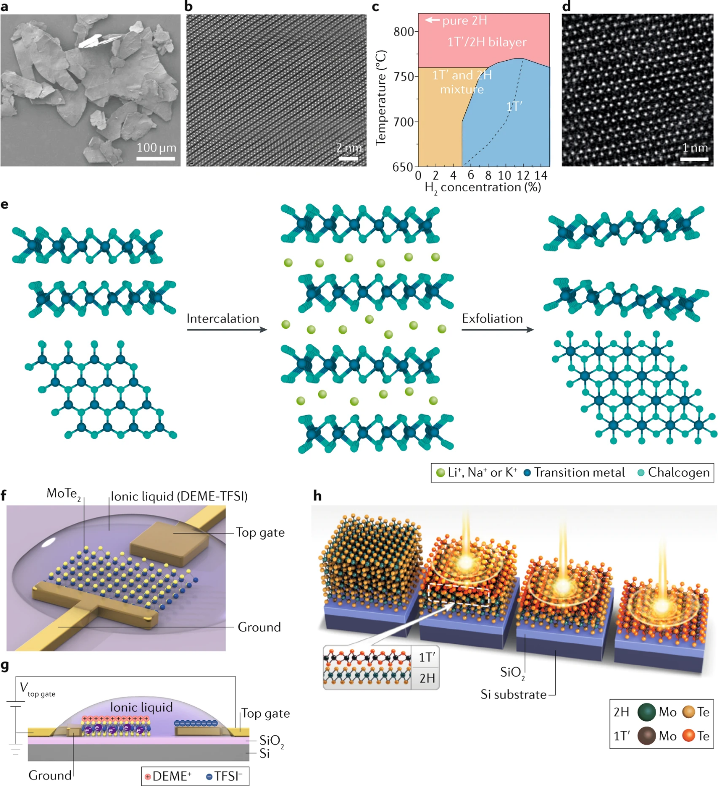 Phase transformation of transition metal dichalcogenides