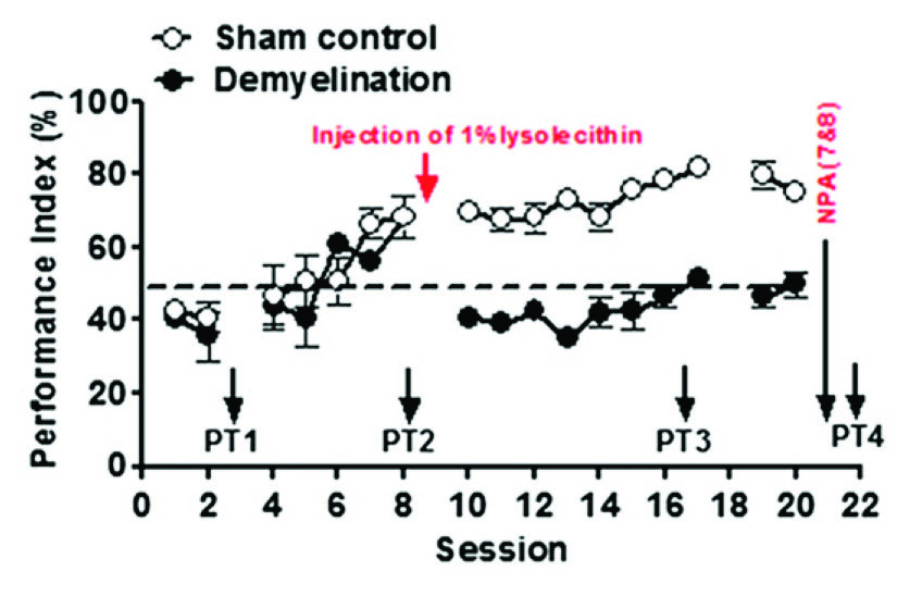 shema like learning and memory consolidation acting