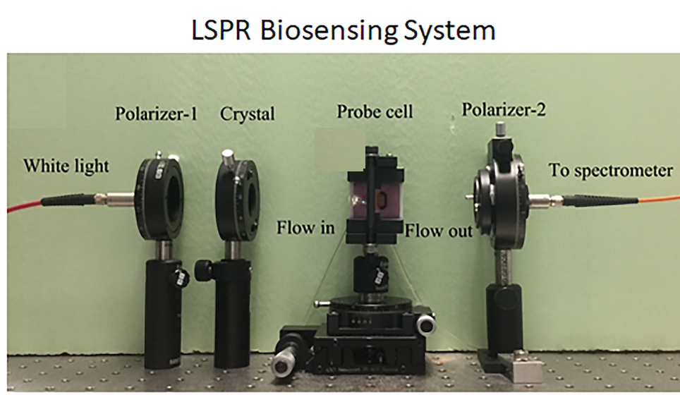 LSPR biosensing system 