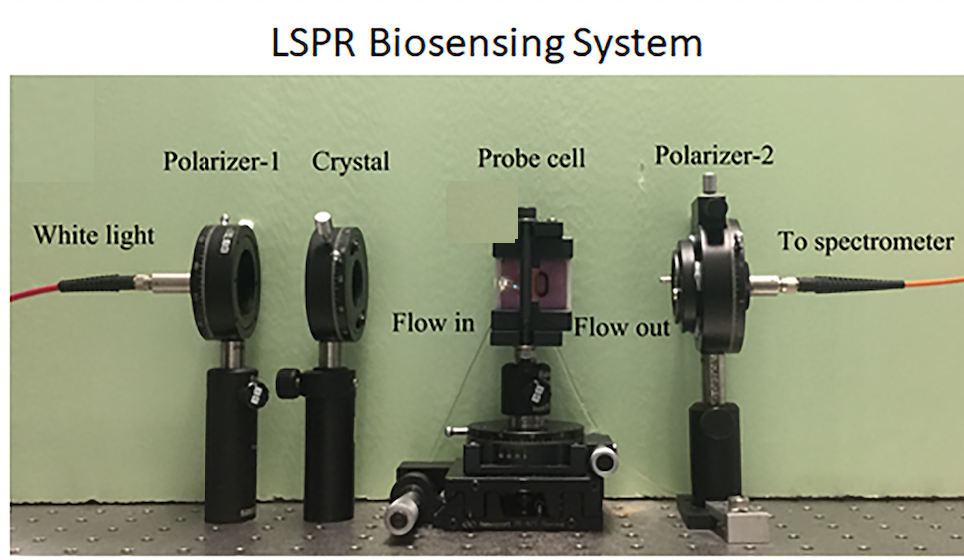 LSPR biosensing system