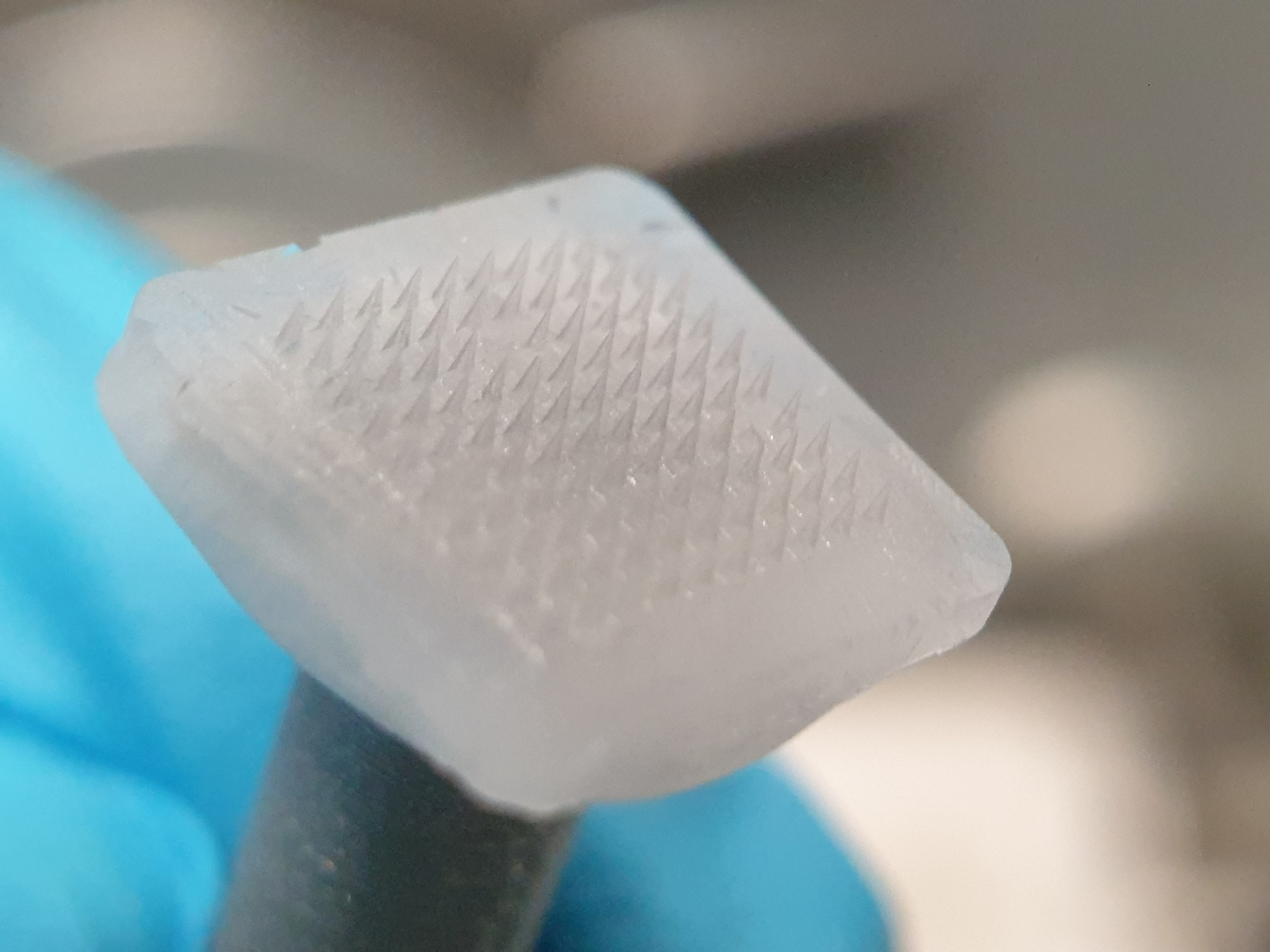 A cryomicroneedle patch ready for deployment