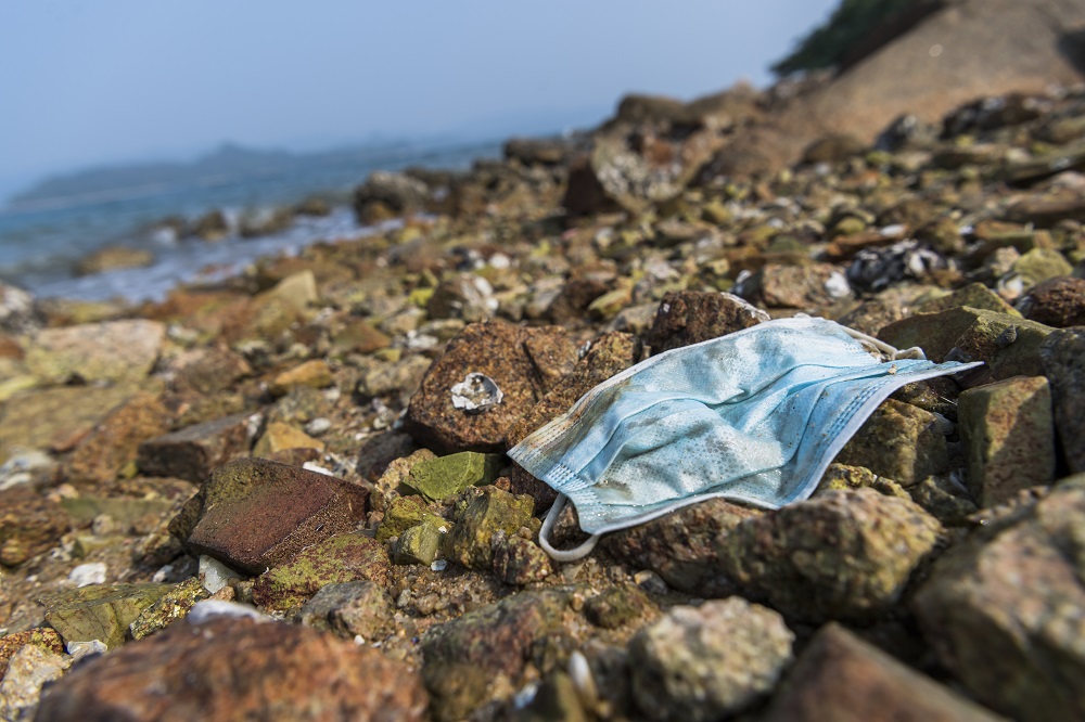 surgical masks threaten the marine ecosystem and food chain
