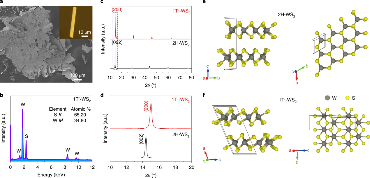 TMD nanomaterials