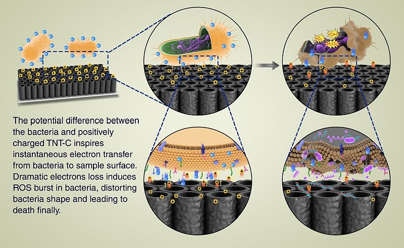 can electricity kill bacteria