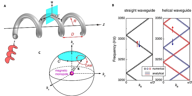 (A) Sound vortices traveling through a helical waveguide acquire a geometric phase in addition to the normal dynamic phase. Such a phase can be considered as the result of the rotation of the local coordinate system (u, v, t) attached to the waveguide. (B) Band structures for a straight waveguide and a helical waveguide showing the degeneracy lifting of the q = ±1 vortices due to the coupling of the OAM and linear momentum. (C) The degeneracy lifting can be attributed to the spin-redirection geometric phase induced by the evolution of the vortex states in wave vector space.