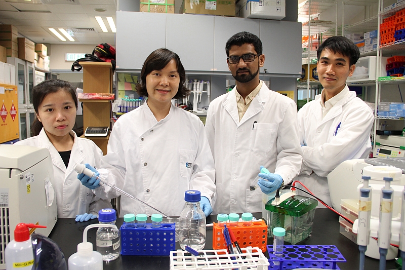Dr Minh Le (second from the left), together with her research students Boya Peng (first from left), Waqas Muhammad Usman (second from right) and Tin Chanh Pham (first from right), as well as other collaborators, have developed a new strategy to generate large-scale amounts of extracellular vesicles (EVs) derived from red blood cells which can efficiently deliver gene therapies against cancer.