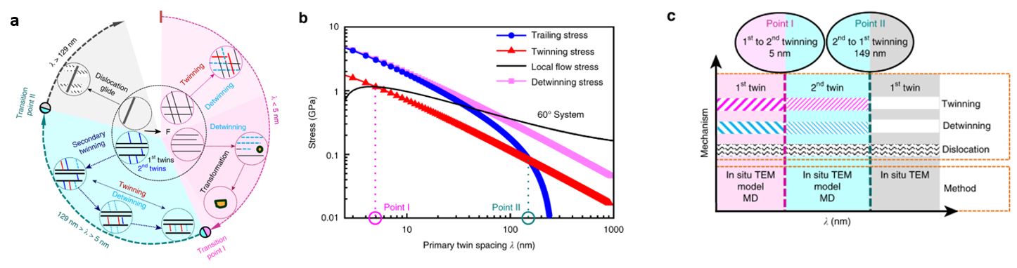 Schematic illustration of the deformation modes of nanotwins