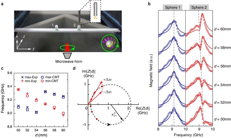 Experimental realisation and observation of exceptional point