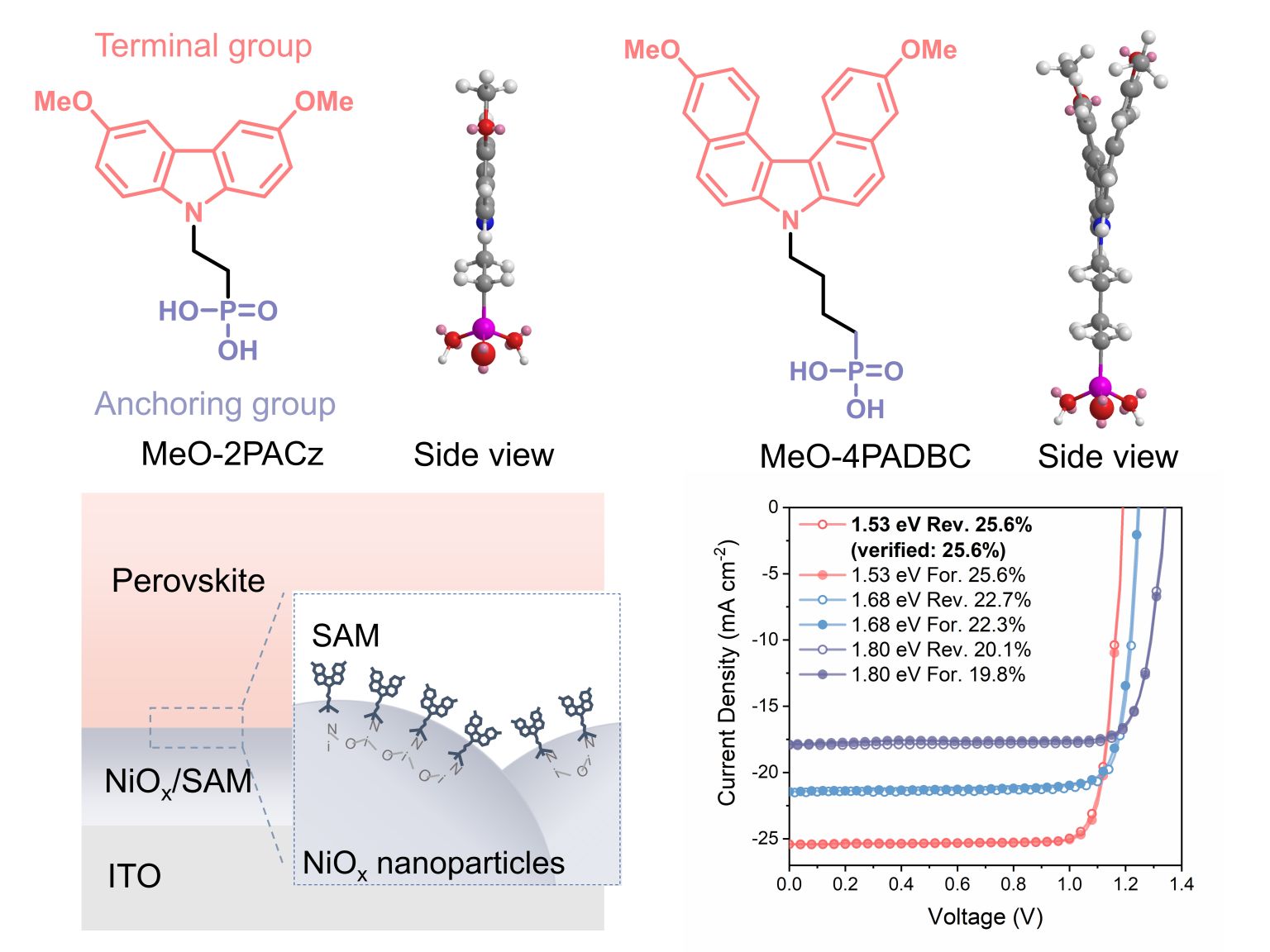 新型 SAM 的分子结构、SAM 沉积方法示意图，及以 SAM 为基础的钙钛矿太阳能电池的光伏性能。（图片来源：香港城市大学朱宗龙教授研究团队）