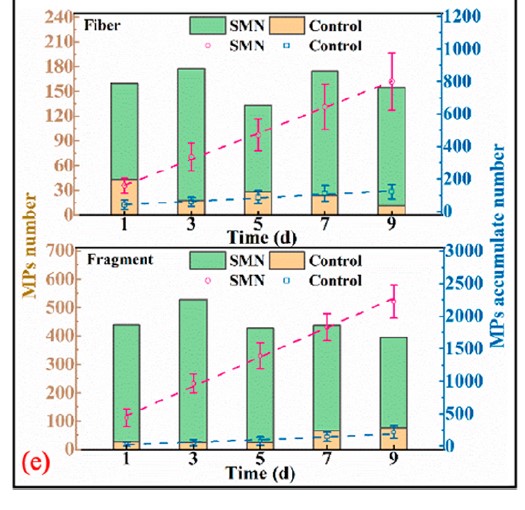 As barras verdes no gráfico mostram a quantidade de microplásticos liberados e as barras laranja são os dados do experimento de controle