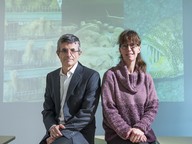Prof Dirk Pfeiffer and Professor Sophie St-Hilaire