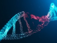 DNA RNA CityU